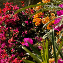 фото из отзыва ID 2697829