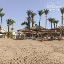 фото из отзыва ID 2698852