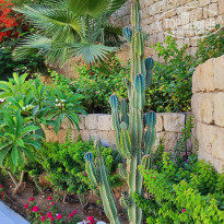 фото из отзыва ID 2698959