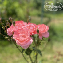 фото из отзыва ID 2699100