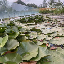 фото из отзыва ID 2699100