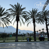 фото из отзыва ID 2699144