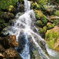 фото из отзыва ID 2699191