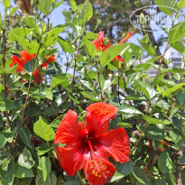 фото из отзыва ID 2699171