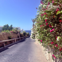 фото из отзыва ID 2699501