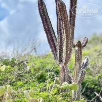 фото из отзыва ID 2699517