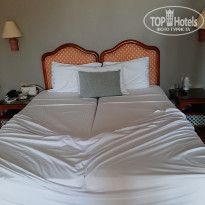 фото из отзыва ID 2699511