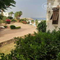 фото из отзыва ID 2699511