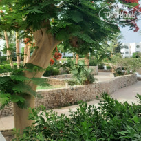 фото из отзыва ID 2699511