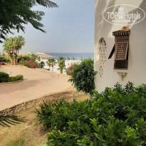 фото из отзыва ID 2699511