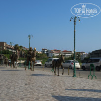 фото из отзыва ID 2699574