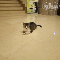 фото из отзыва ID 2699574