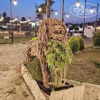 фото из отзыва ID 2699574