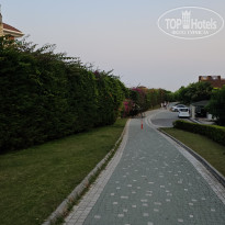 фото из отзыва ID 2699574