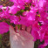 фото из отзыва ID 2698262