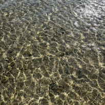 фото из отзыва ID 2699778