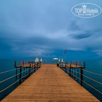 фото из отзыва ID 2699784