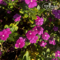 фото из отзыва ID 2699874