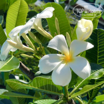 фото из отзыва ID 2699882