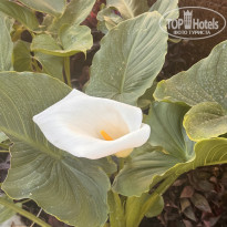 фото из отзыва ID 2699899