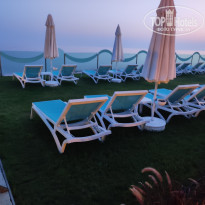 фото из отзыва ID 2699904