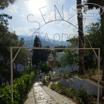 фото из отзыва ID 2699947