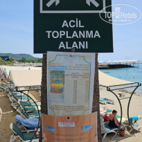 фото из отзыва ID 2699947