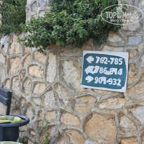 фото из отзыва ID 2699947