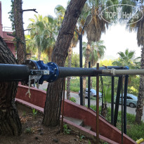 фото из отзыва ID 2699947