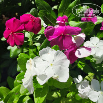 фото из отзыва ID 2696351