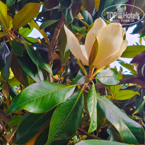 фото из отзыва ID 2698377