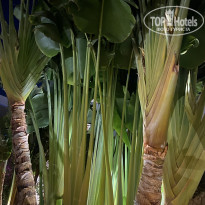 фото из отзыва ID 2698290