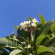 фото из отзыва ID 2698290