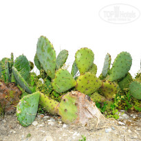 фото из отзыва ID 2699690