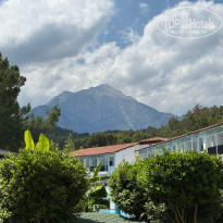 фото из отзыва ID 2694256