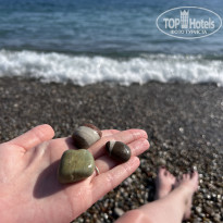 фото из отзыва ID 2695625