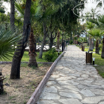 фото из отзыва ID 2695625