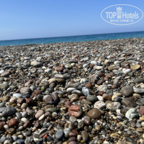 фото из отзыва ID 2695625