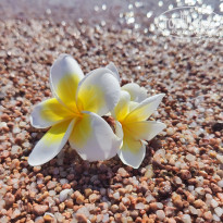 фото из отзыва ID 2700044