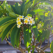 фото из отзыва ID 2700044