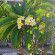 фото из отзыва ID 2700044