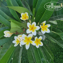 фото из отзыва ID 2700296