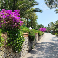 фото из отзыва ID 2700352