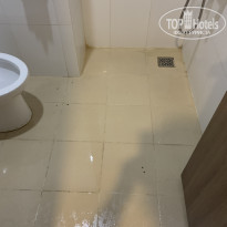 фото из отзыва ID 2700699