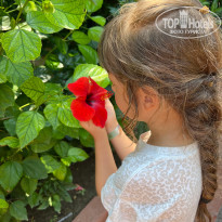 фото из отзыва ID 2700718