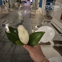 фото из отзыва ID 2700765