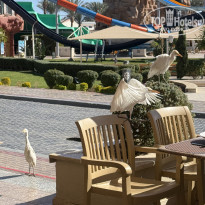 фото из отзыва ID 2700773