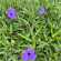 фото из отзыва ID 2700946