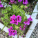 фото из отзыва ID 2700946