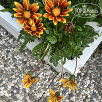 фото из отзыва ID 2700946